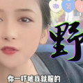 猪小姐姐,萌态可掬的治愈系萌宠