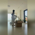 小姐姐90天记录装修,小姐姐的温馨家居蜕变之旅